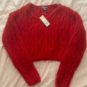 slightly cropped francescas sweater